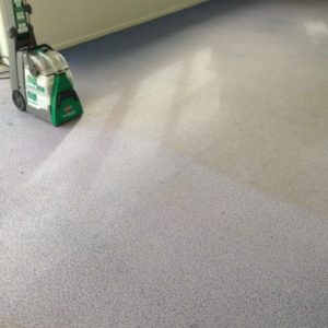 Professional West Auckland carpet cleaner